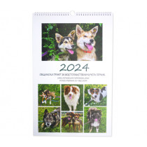 Charity Calendar for Dogs from the Municipal Shelter Pernik, 47 х 30 cm