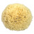 Coral Bath Sponge Croll & Denecke Premium