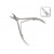Ingrown Toenail Nipper Zvetko BG, pointed