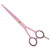 Hairdressing scissors Zvetko BG Butterfly Line, 6" / 15.5 cm